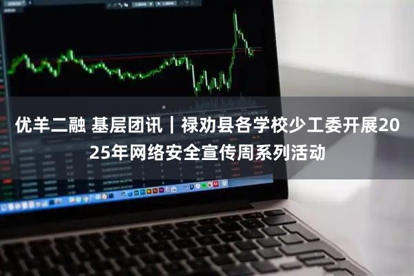优羊二融 基层团讯｜禄劝县各学校少工委开展2025年网络安全宣传周系列活动